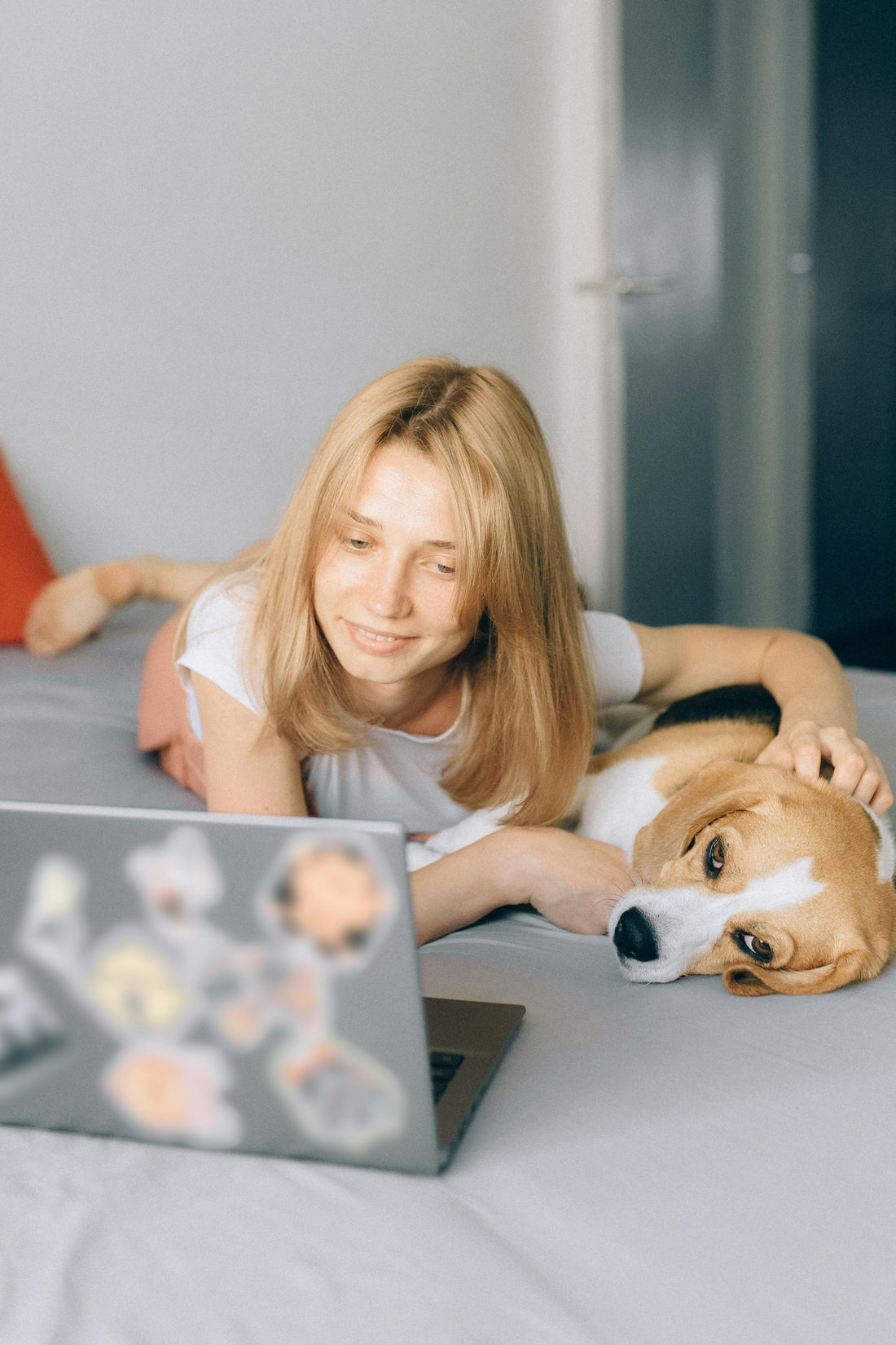 The Modern Pet Parent Guide: Master the Balance of Style & Soul 🐾💼