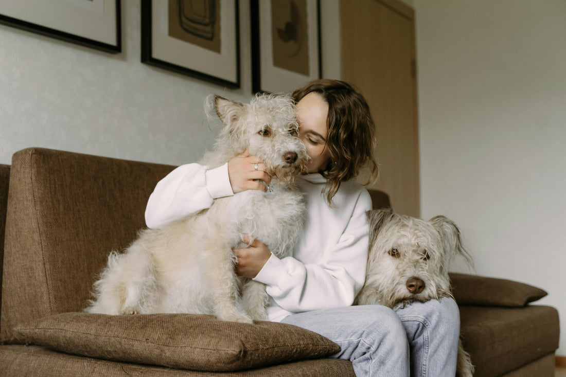 he Art of Pet Parenting: Why "Living with Style" Includes Your Best Friend 🏠✨
